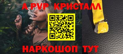 стаф Малгобек