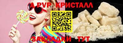 стаф Малгобек