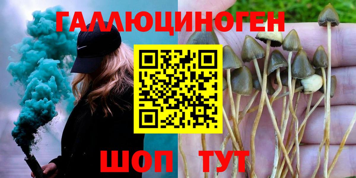 Псилоцибиновые грибы ЛСД Ставрополь