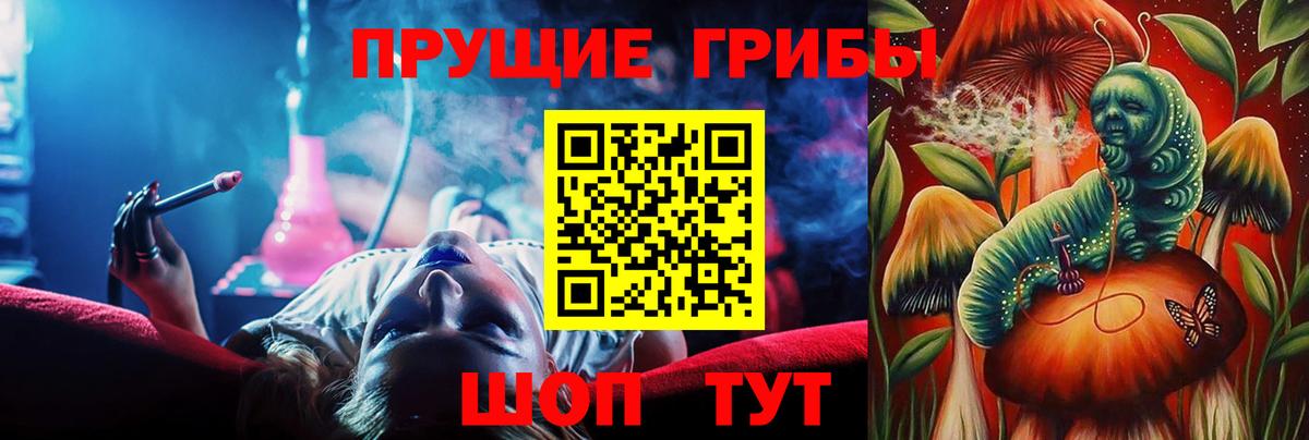 купить закладку  Вход с VPN  Ставрополь  Псилоцибиновые грибы мицелий 
