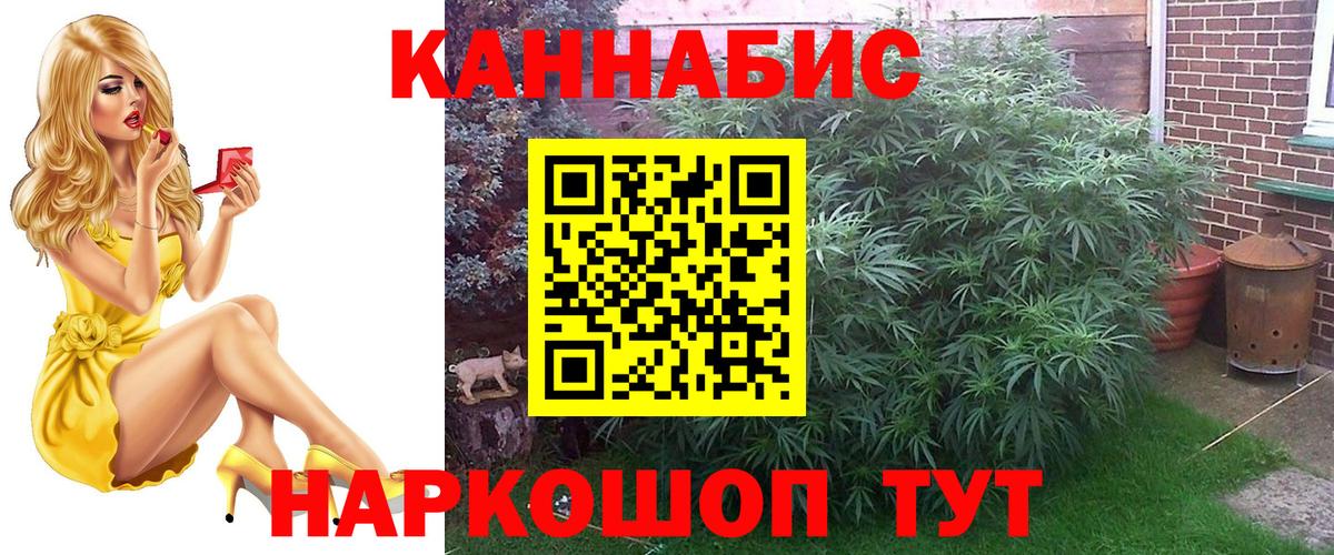 А ПВП Ставрополь
